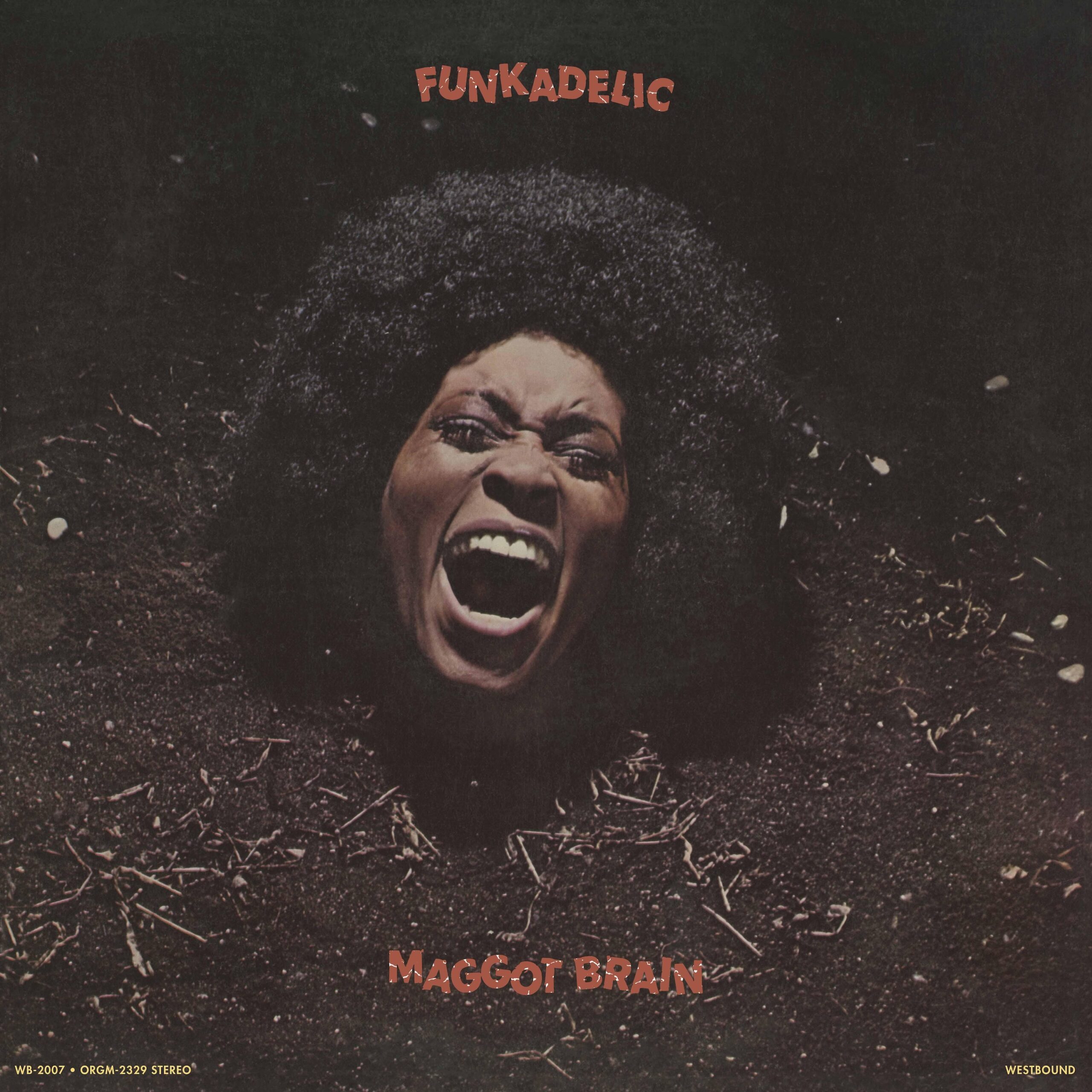 Funkadelic - Maggot Brain (Cassette) - Image 2